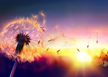 Journey of the M4 Part 2: Letting Go
