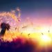 Journey of the M4 Part 2: Letting Go