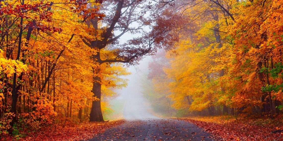 M4 journey eras fall autumn medschool AAMC