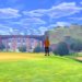 Nintendo Download: Forge a Path to Greatness in Pokémon Sword and Pokémon Shield