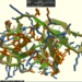 Can a Video Game Help Fight the COVID-19 Outbreak?